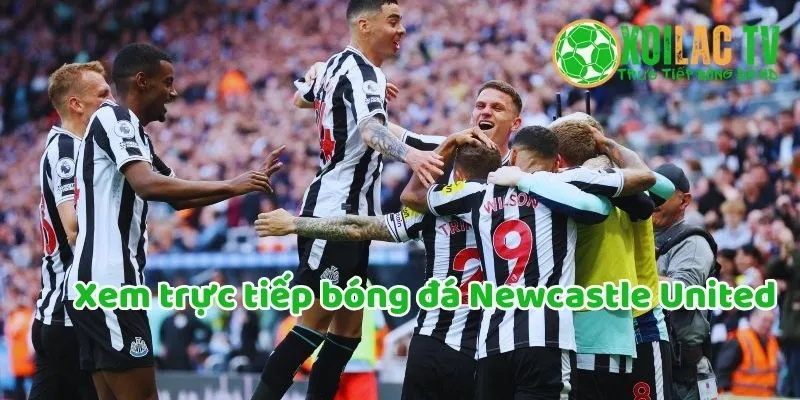 Xem bóng đá trực tiếp Newcastle United
